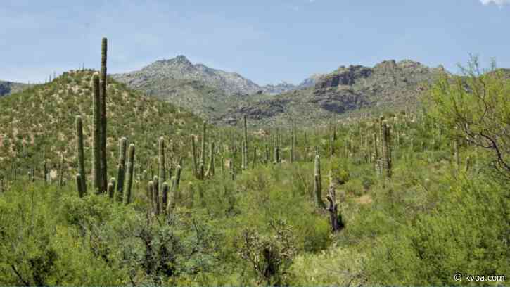 Woman rescued after injured while hiking in Sabino Canyon