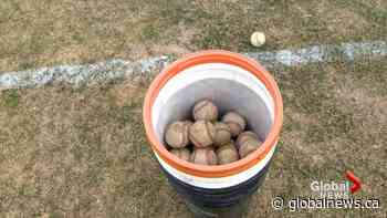 State of Lethbridge baseball uncertain as COVID-19 postponements continue