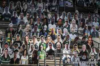 Coronavirus sports hack: Cardboard fans fill the stands to root for their team     - CNET