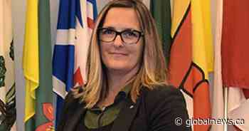 Spike in deaths, majority Indigenous children, reported to Saskatchewan child advocate: report