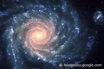 How Do Supermassive Black Holes Form? You Can Sketch Galaxies to Help Astronomers Find Out