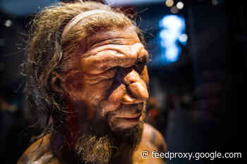How Much Neanderthal DNA do Humans Have?