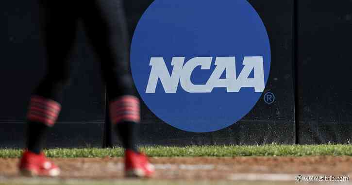 NCAA faces lawsuit over violence against women at colleges