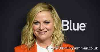 Parks And Recreation lockdown reunion special leaves fans sobbing