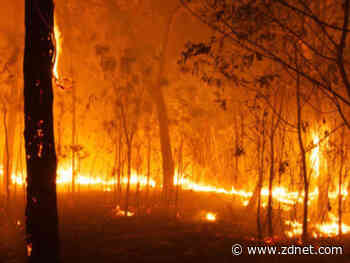 Only 3% of tower outages during bushfire peak due to fire damage