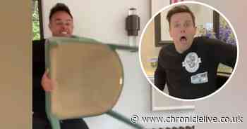 Ant and Dec throw things at each other in 'biggest ever fight'