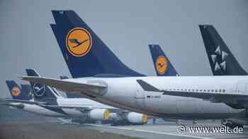 Bundesregierung plant offenbar Direkteinstieg bei Lufthansa