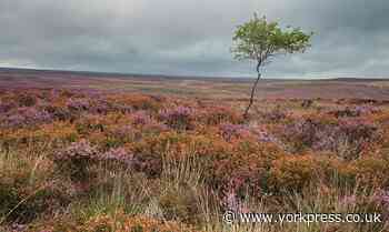 CORONAVIRUS: Stay away from National Parks police warn residents