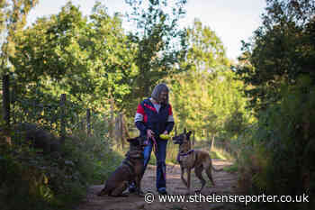 A pet owner's guide to the lockdown - Alone Together podcast - St Helens Reporter