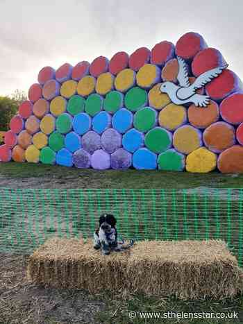 Farmer's rainbow of hope to help children's hospice - St Helens Star