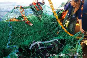 'Exit signs' on fishing nets help non-target species escape - St Helens Star