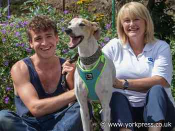 Annual RSPCA pet show goes online in lock down