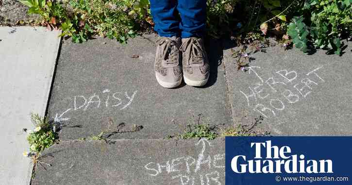 'Not just weeds': how rebel botanists are using graffiti to name forgotten flora