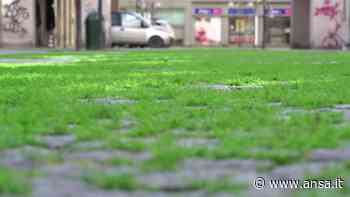Coronavirus, a Torino l'erba cresce tra i sampietrini - Italia - Agenzia ANSA