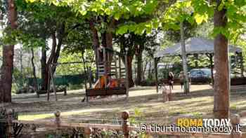 San Basilio: gli abitanti tagliano l’erba e si riprendono il “parchetto”, fortino dello spaccio in quartiere - RomaToday