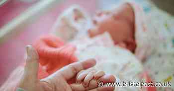 Government considers calls to extend paid maternity leave