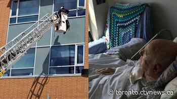 Daughter of 95-year-old Holocaust survivor reaches new heights to say hello at Toronto nursing home