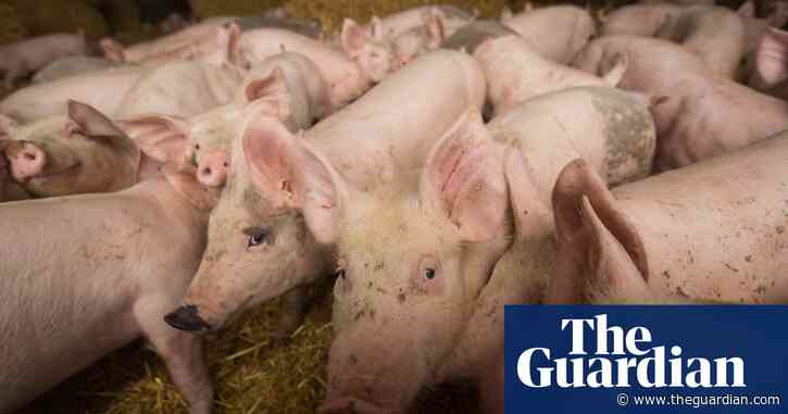 Environmental controls key to coronavirus recovery, chancellor told