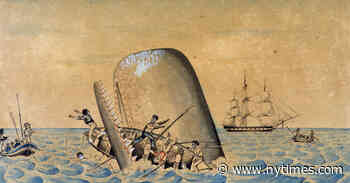 The Hunt for Moby Dick Moves Online