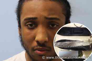 Lewisham teen to "pay the price" after police caught him with 20 knives