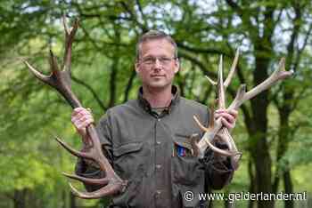 De eerlijke vinder mag een gevonden gewei houden