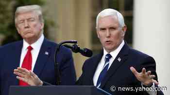 Video: Mike Pence showers praise on Trump's leadership in pandemic