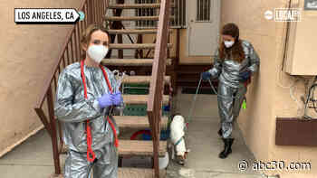 COVID-19 animal foster program will care for your pet if you get sick