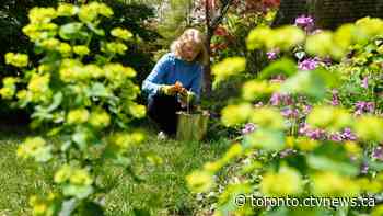 Ontario to reopen gardening centres in time for May planting