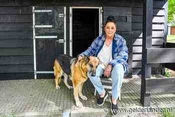 Dierenopvang overvol met dieren van overleden baasjes: ‘Als wij nee zeggen, gaat er een dier dood’