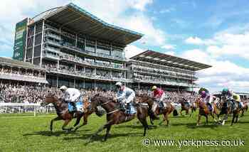 All York Racecourse meetings in June cancelled - including Macmillan Charity Meeting
