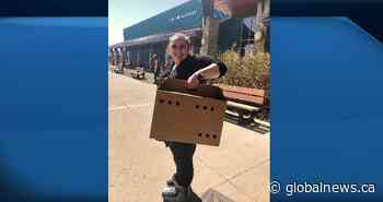 AHS starting up elective surgeries again welcome news for Edmonton woman on waitlist