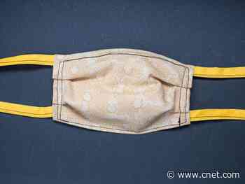 Will homemade face masks keep you from getting sick with coronavirus? What to know     - CNET