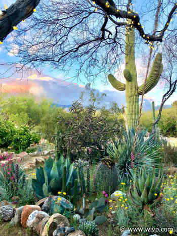 Facebook group provides a view around the world during pandemic