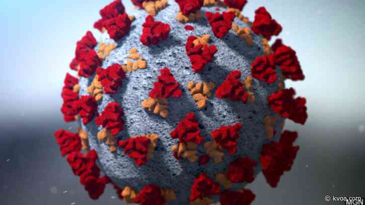 UN: COVID-19 deaths for people older than 80 are 5 times average