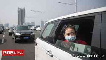 Are 'anti-virus' cars in China just a gimmick?
