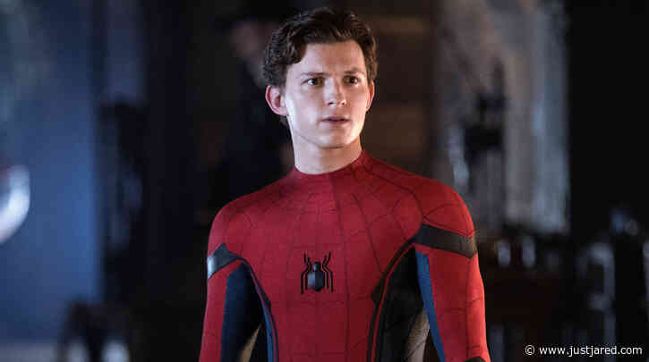 Universe for Sony's Spider-Man Movies Has an Official Name