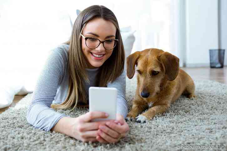 American Kennel Club Releases Most Popular Dog Breeds List
