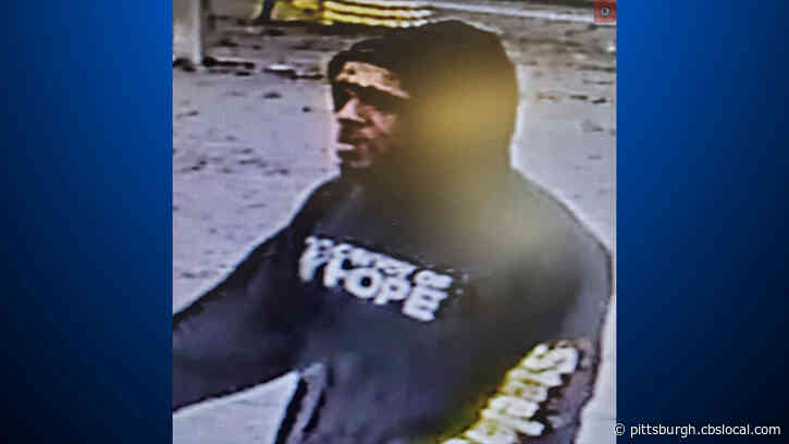 Bellevue Police Searching For Car Theft Suspect