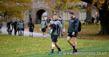 Wales outsider released from contract after talks with Wayne Pivac about international chances - Wales Online