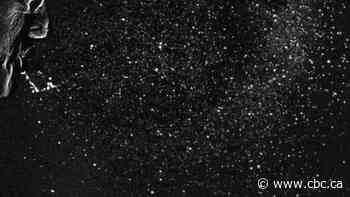 Scientists aim to 'see' invisible transmission of coronavirus