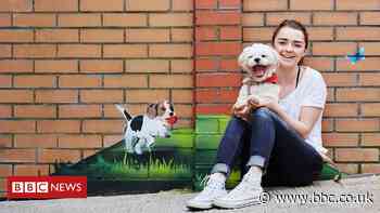 Coronavirus: Maisie Williams donates £50,000 to animal charity after fundraising halted