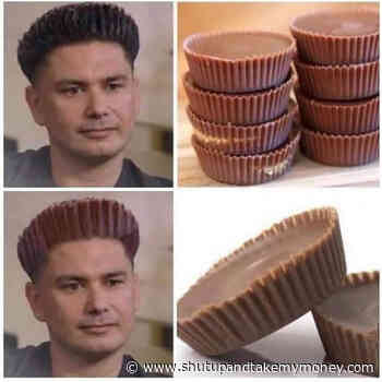 Pauly D Reeses Hair Meme