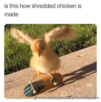 Is This How Shredded Chicken Is Made – Meme