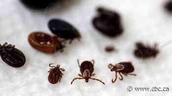 New tick ID app 'eTick' cuts down on waiting time and provides information, U of S prof says