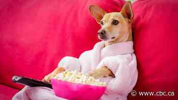 10 free things you can do while stuck at home during COVID-19