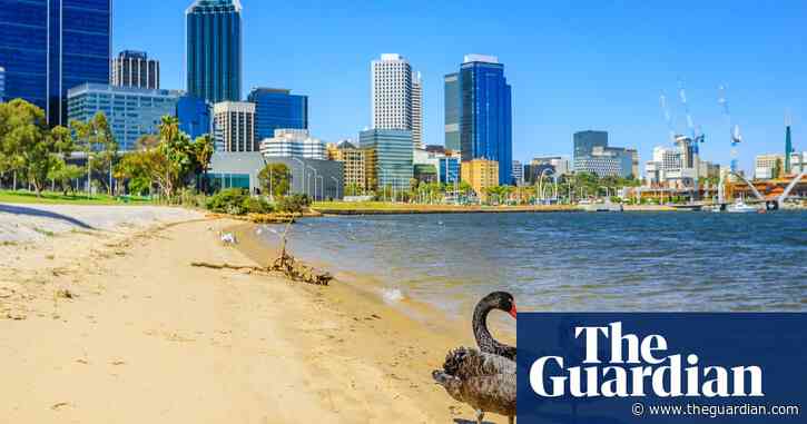 Don't get in a flap: test your knowledge of urban birds – quiz