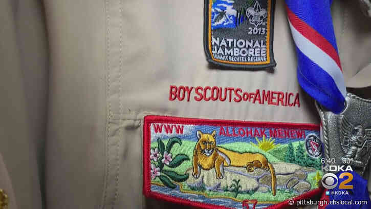 The Boy Scouts Of America Are Inviting Families Across The US To Participate In A Virtual Camp-In