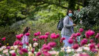 Ontario infectious disease doctor says B.C. has 'plateaued,' urges slow, steady reopening
