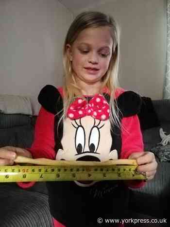 More huge chips found in York as saga continues