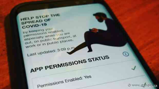 'Invasion of privacy': Watchdogs concerned about apps tracking COVID-19 patients